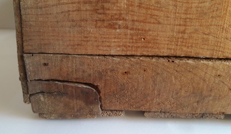 Case wood transport old fruit Magraner-Co Espana Dandy