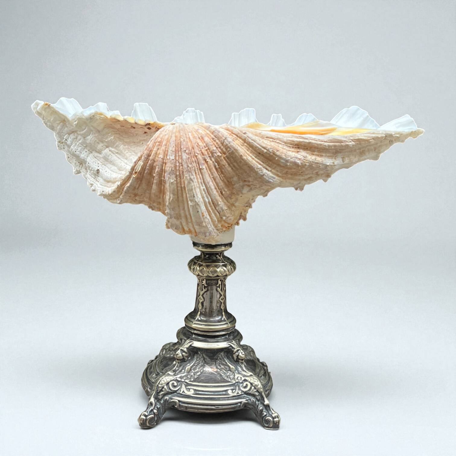 XXL large giant clam shell (Tridacne) on a silver-plated metal base, late 19th century