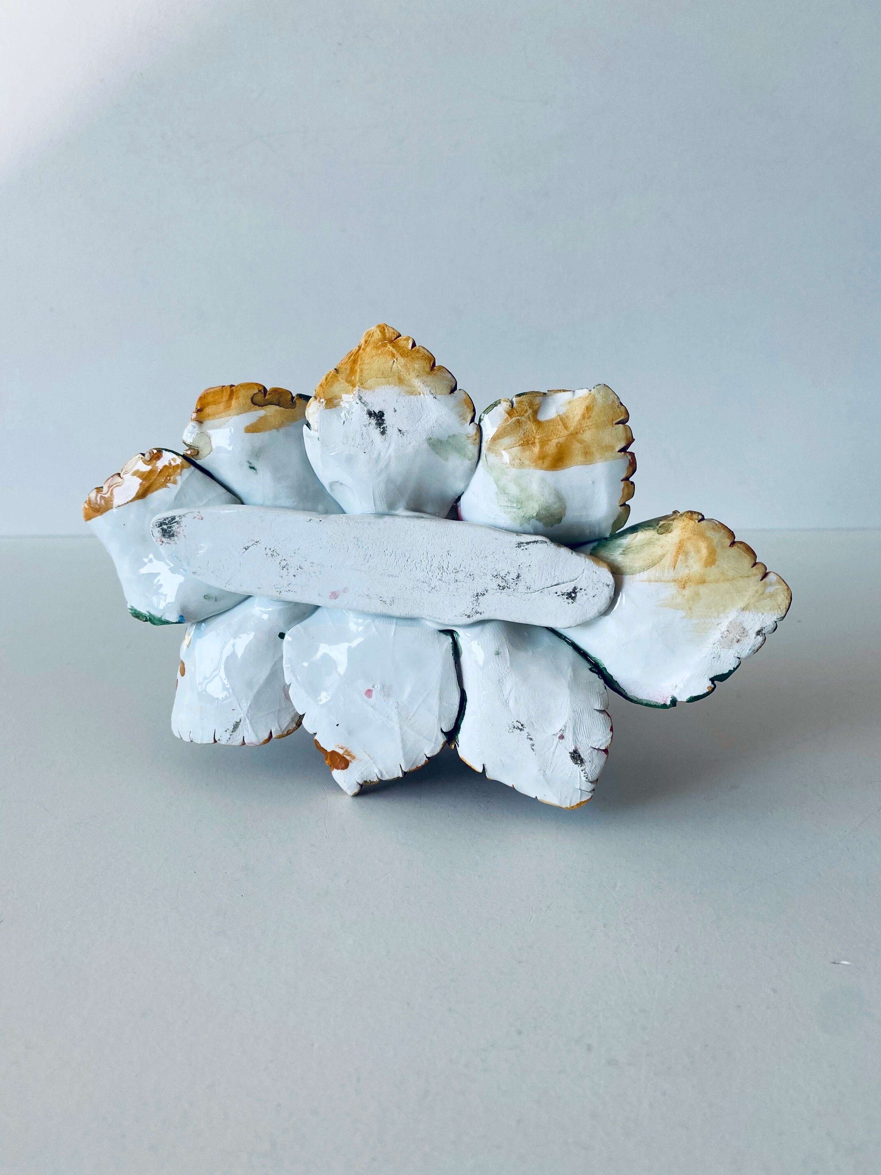 Candlestick flowers in bubble