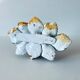 Candlestick flowers in bubble