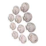 Set of 11 pieces fire-fired porcelain scallops
