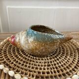 Vintage shell ceramic