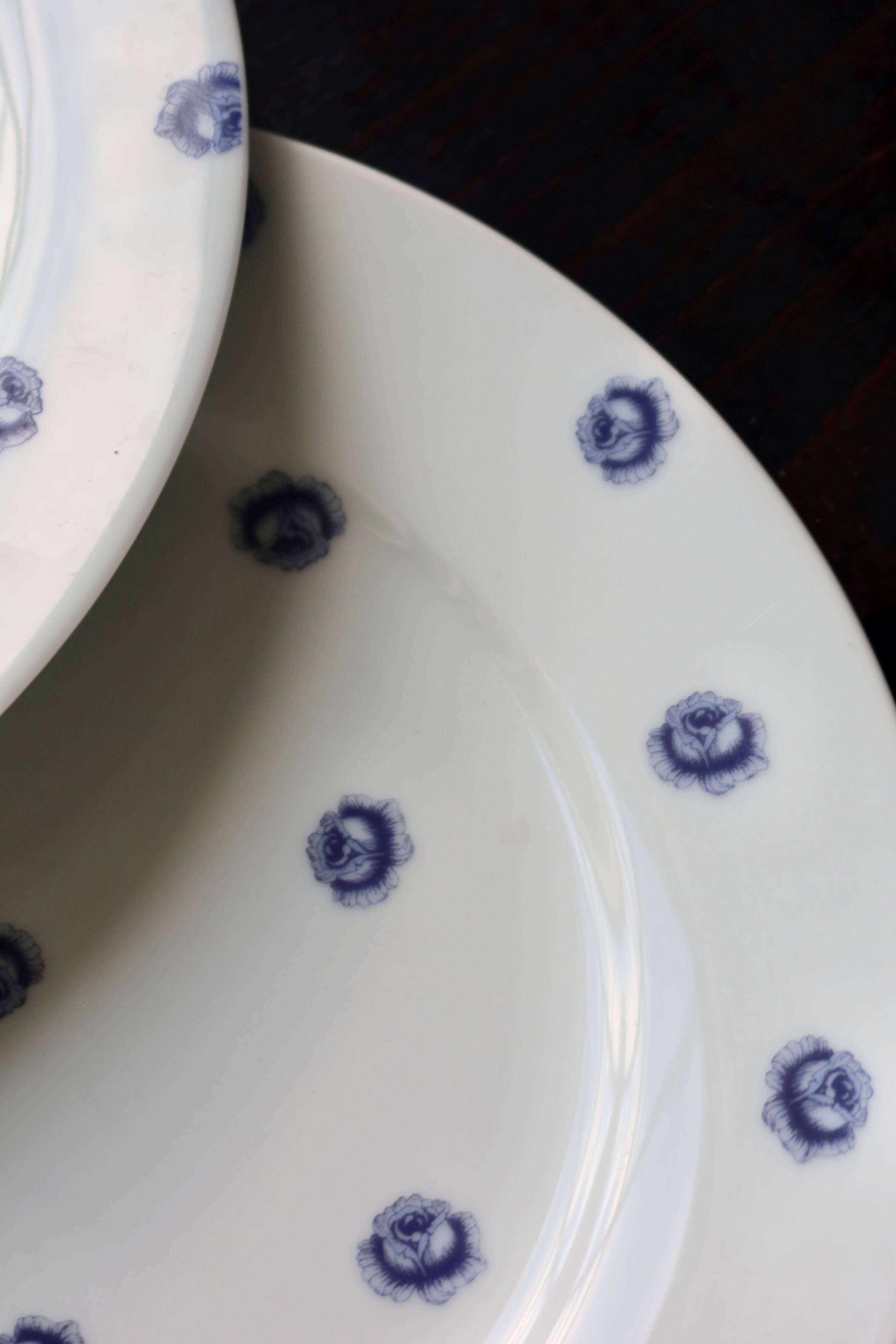 6 vintage white porcelain dinner plates with blue roses