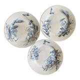 Plates