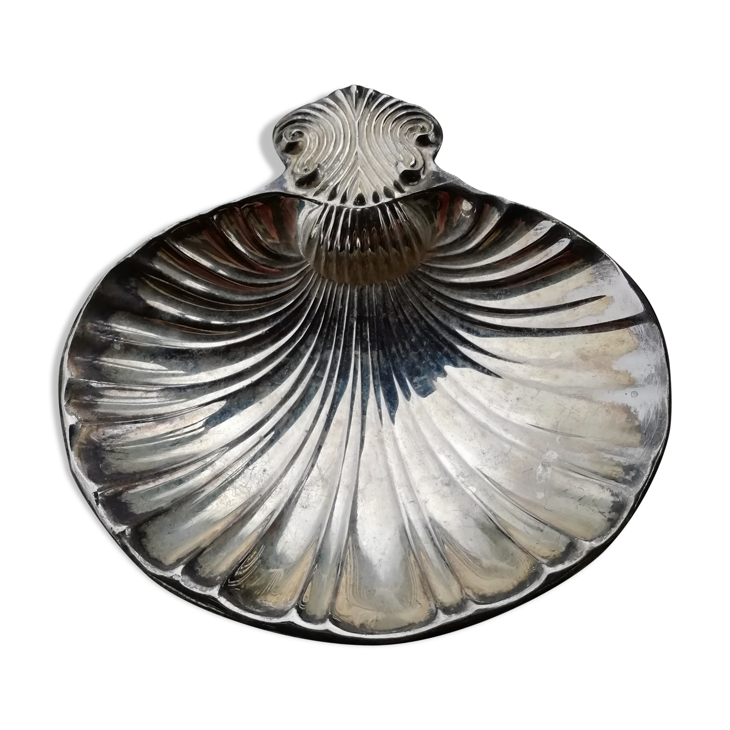 Scallops silver metal