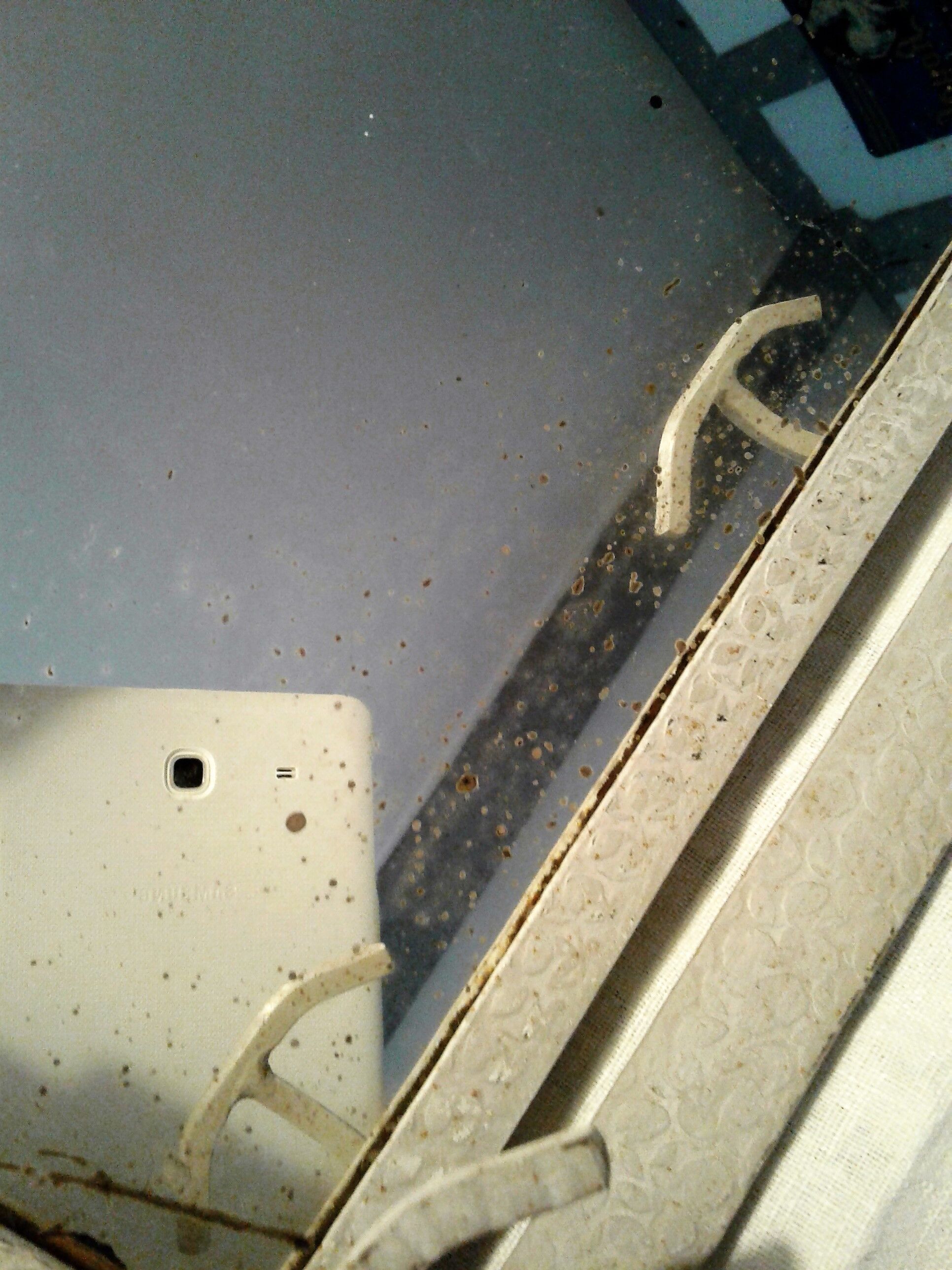 Former Wall coat hangers painted in gray iron