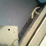 Former Wall coat hangers painted in gray iron