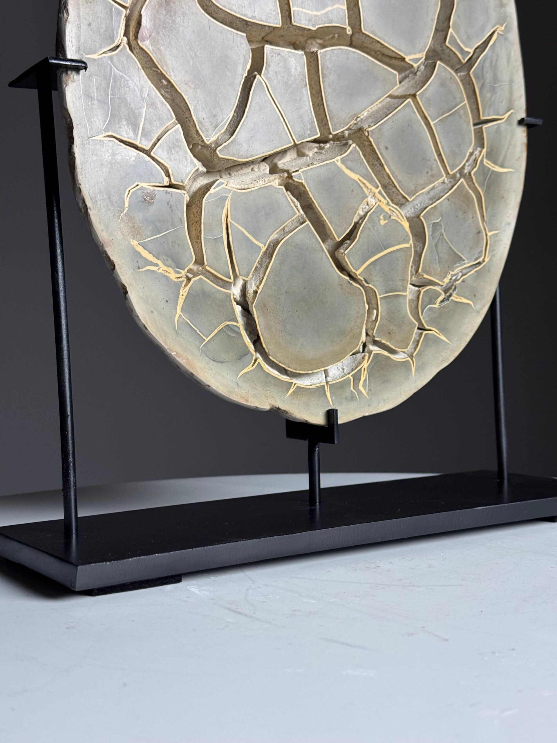 Septarian nodule on stand