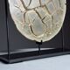 Septarian nodule on stand