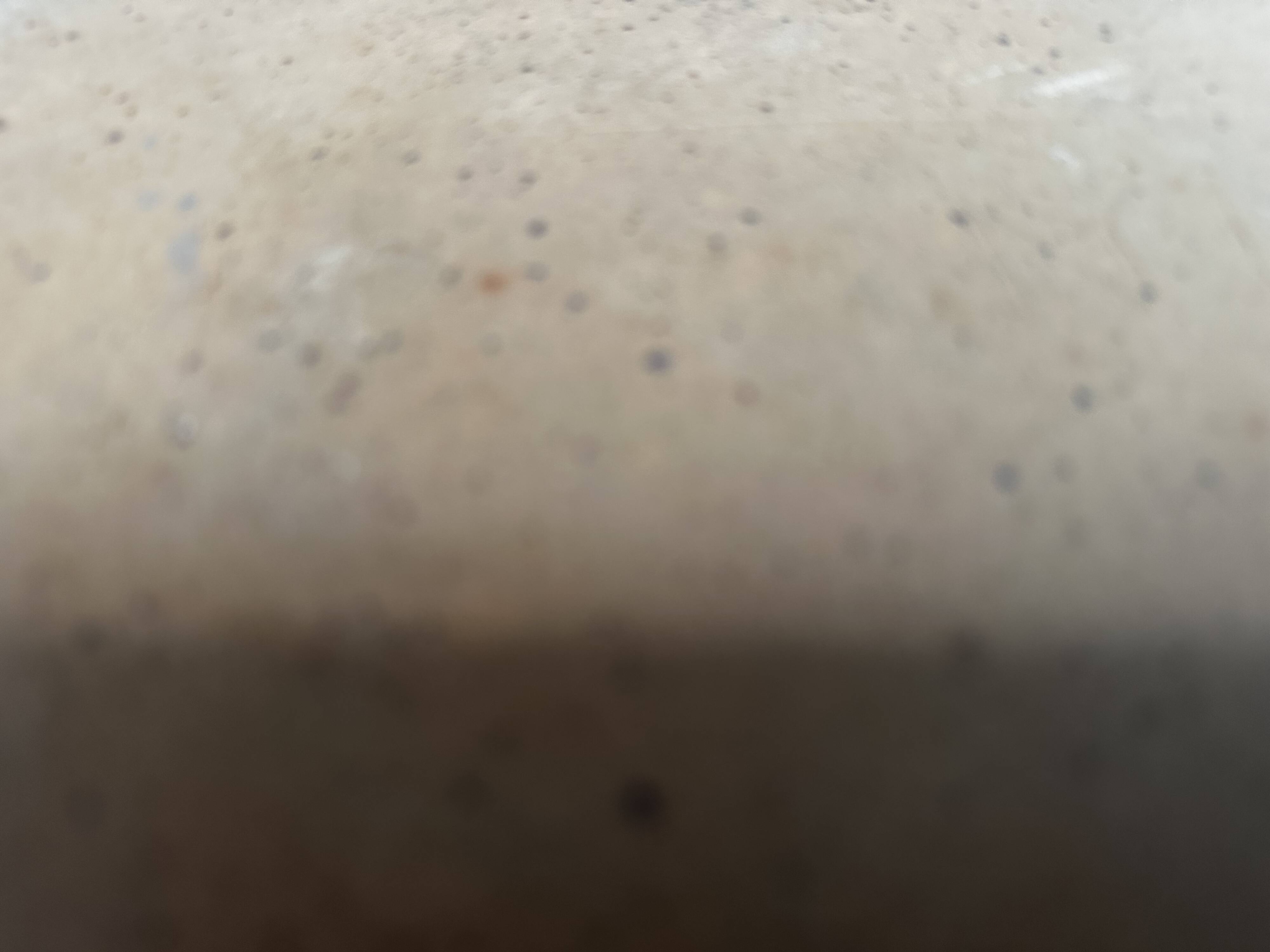 Large round stoneware dish signed Vallauris origin Diameter 30 cm