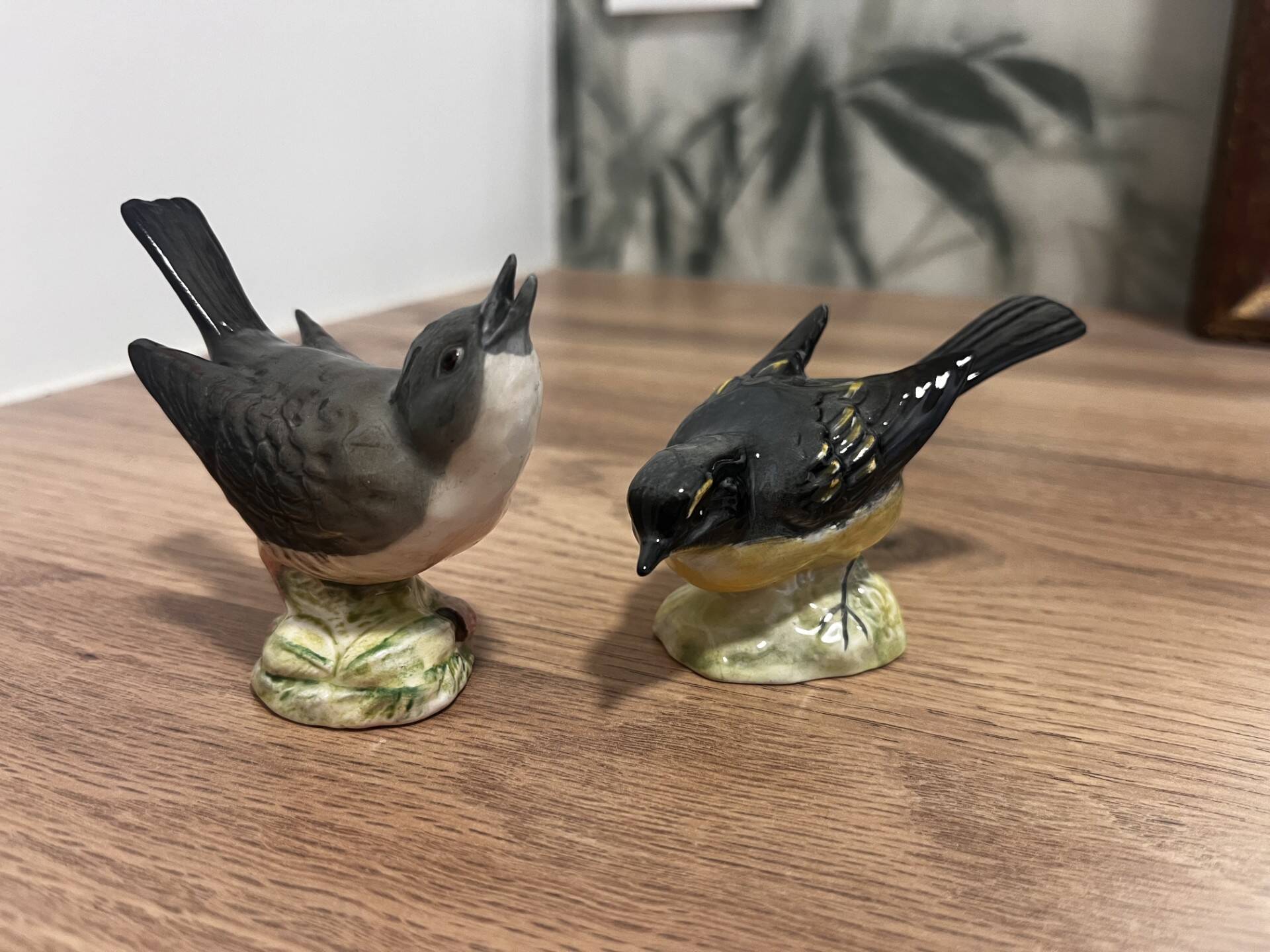 Oiseaux Beswick