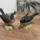 Oiseaux Beswick