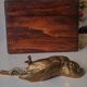 Bronze sparrow Comolera
