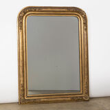 Golden Louis Philippe Flower Mirror