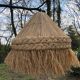Raffia day offal