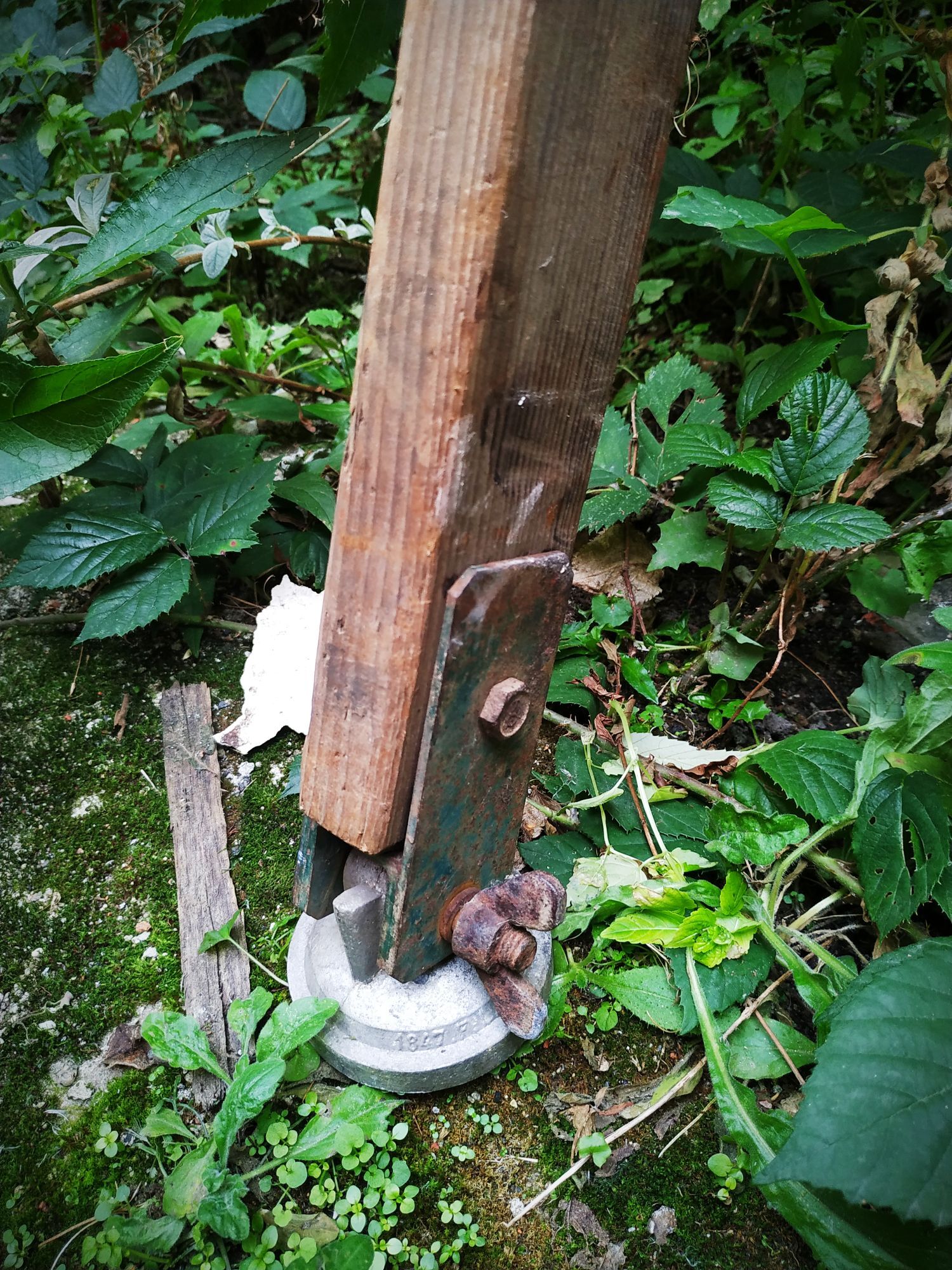 Old Cognet scale 321 cm