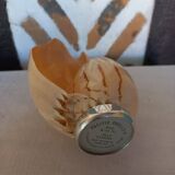 Melo Diadema shell mounted on base