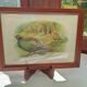 Pheasant painting