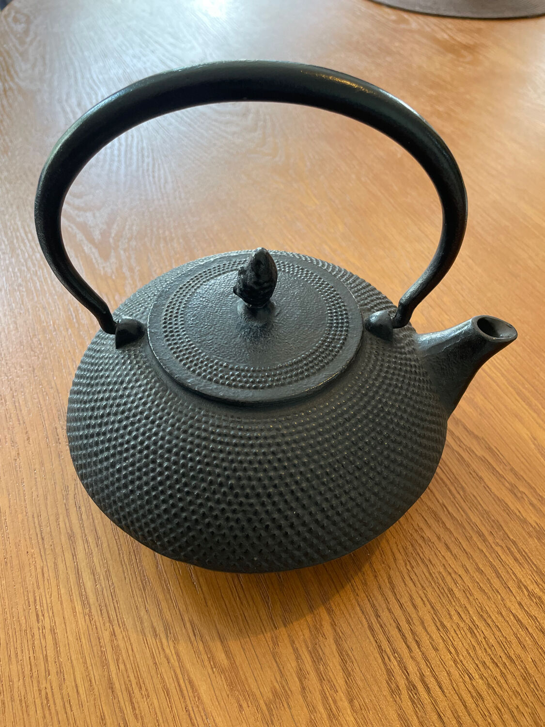 Japanese cast iron teapot
