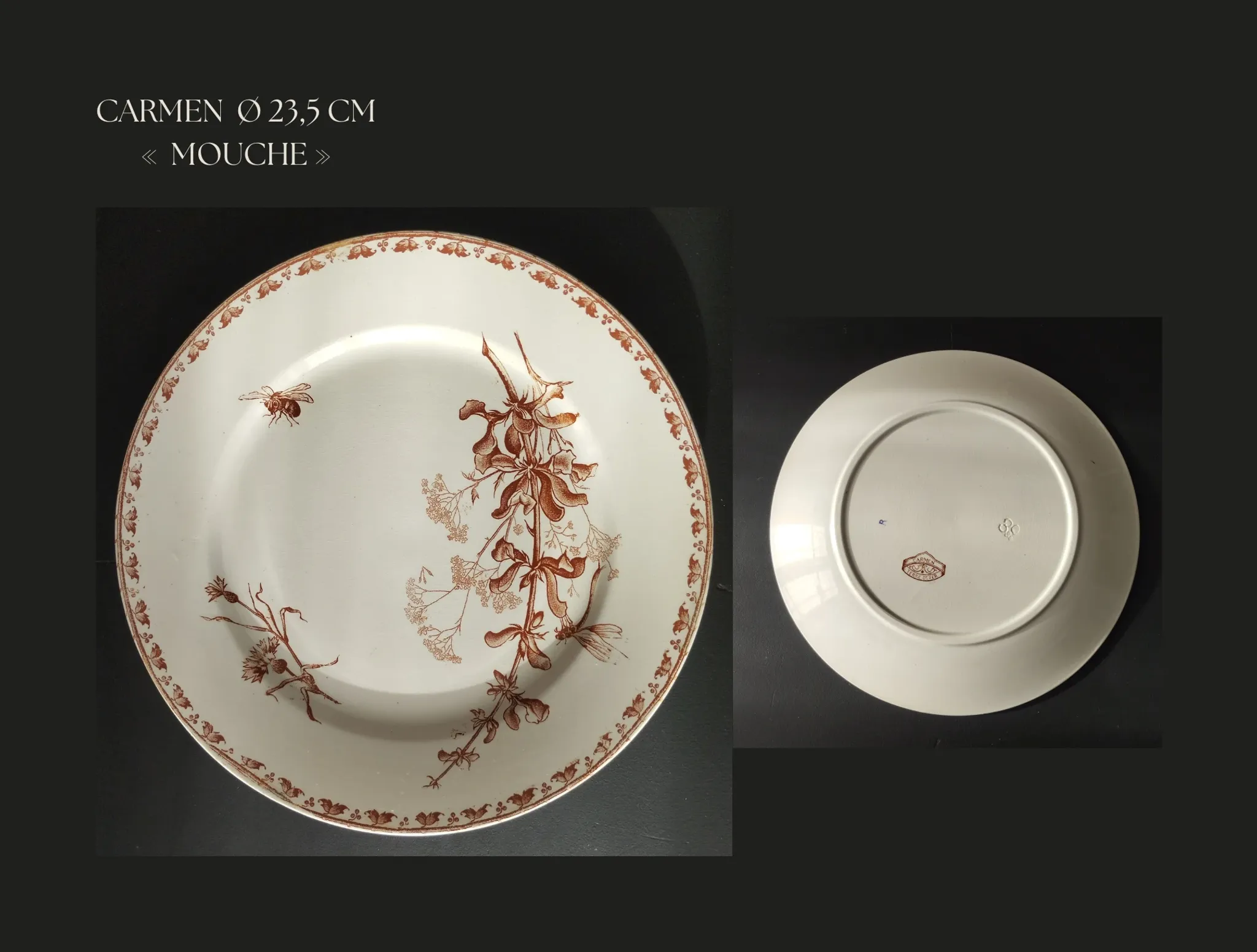 7 flat plates in earthenware from Sarreguemines U&C "Carmen"