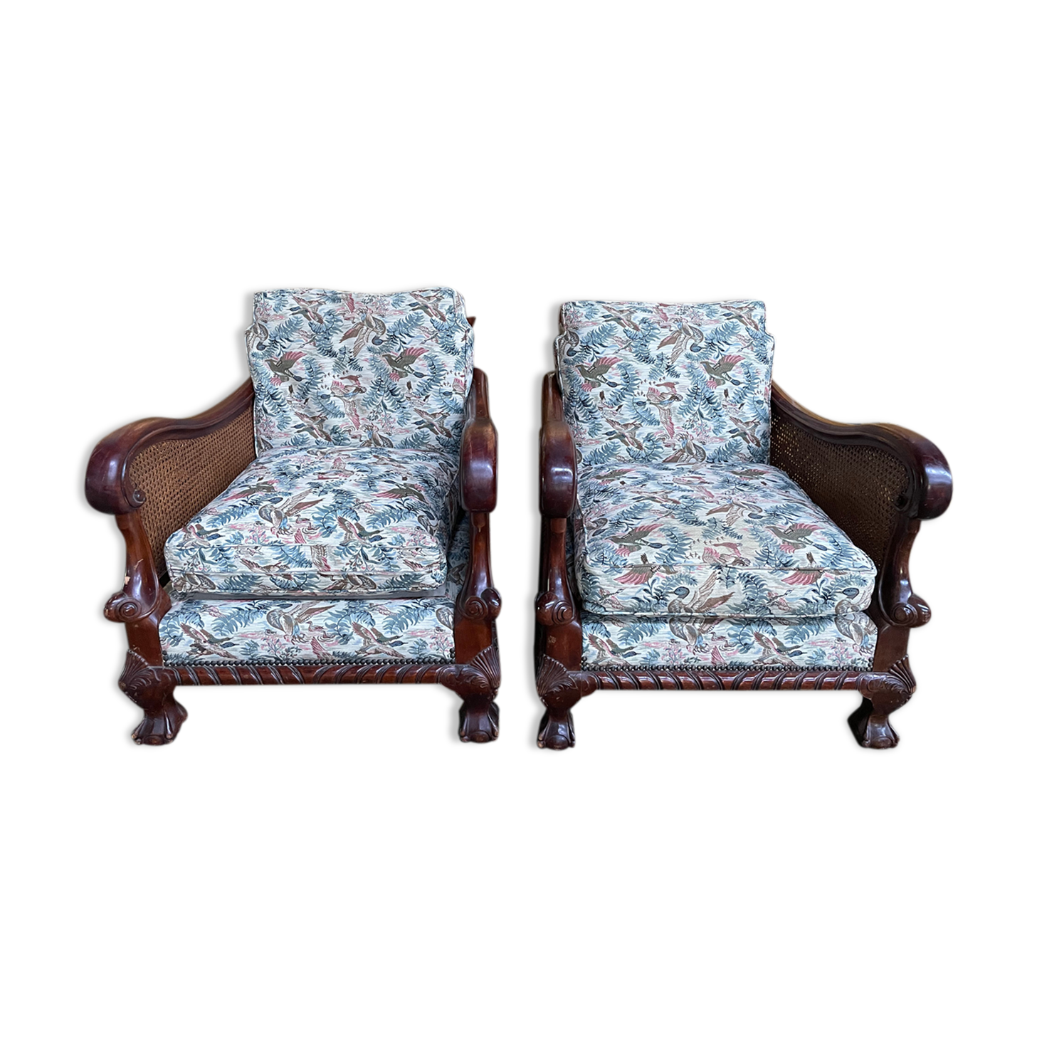Pair of English mahogany and canning armchairs
