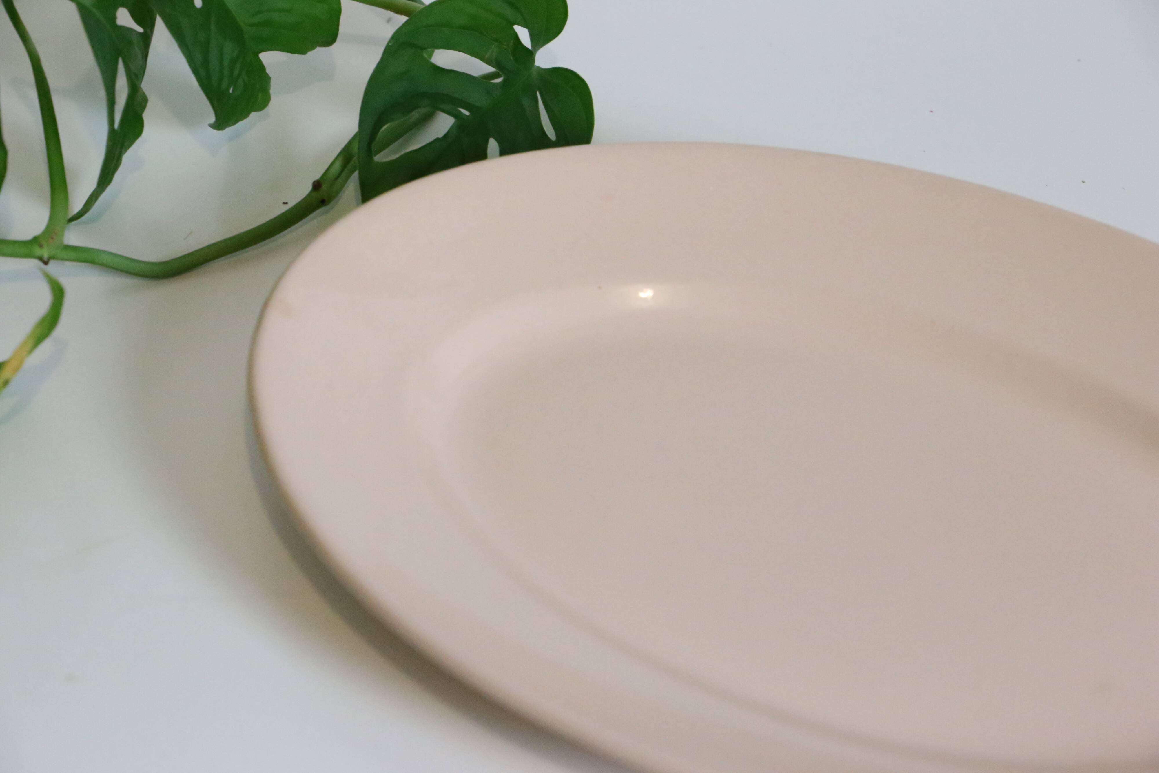 Oval dish in pink ceramic, art deco, 1930, digoin, french manufacture
