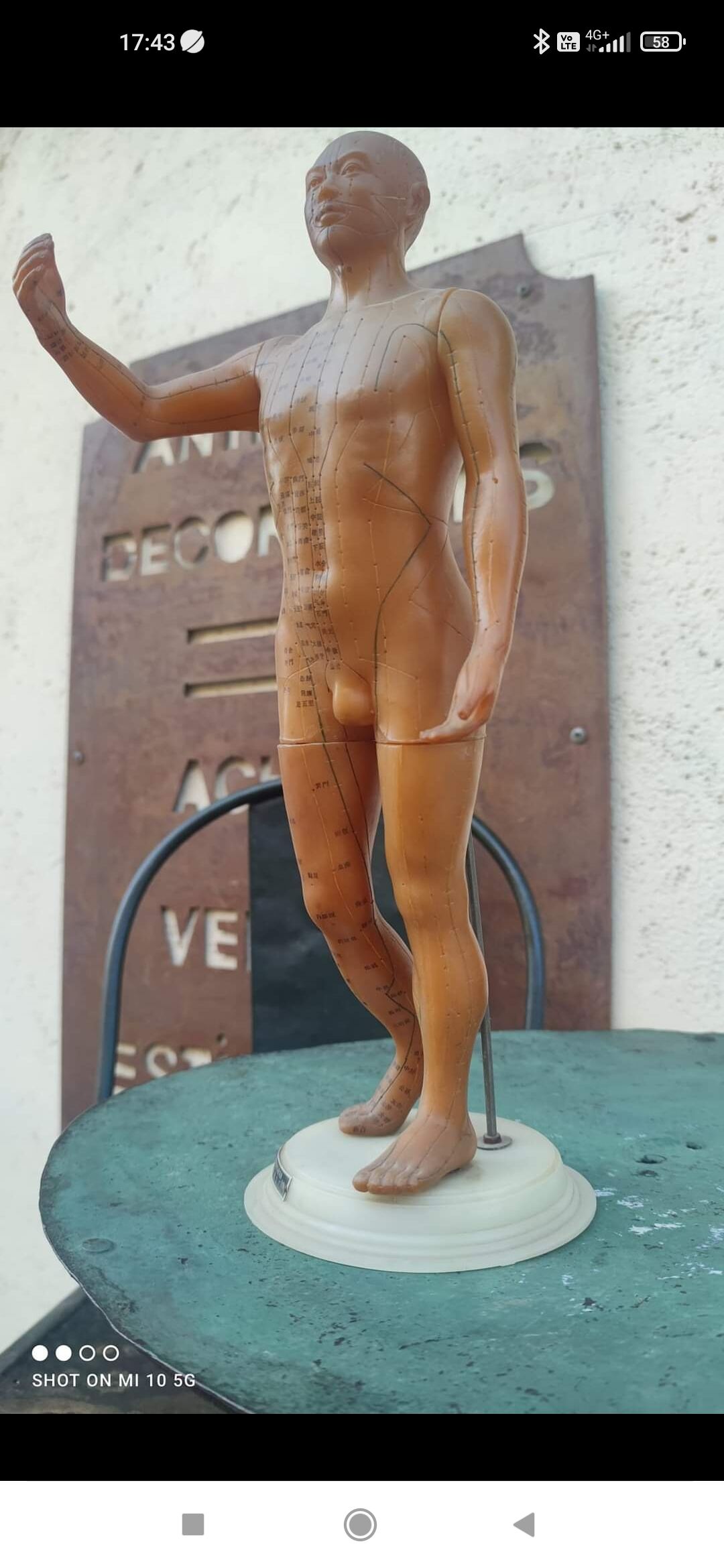 Acupuncture mannequin circa 1960