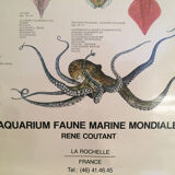 Original vintage marine wildlife poster, 80s