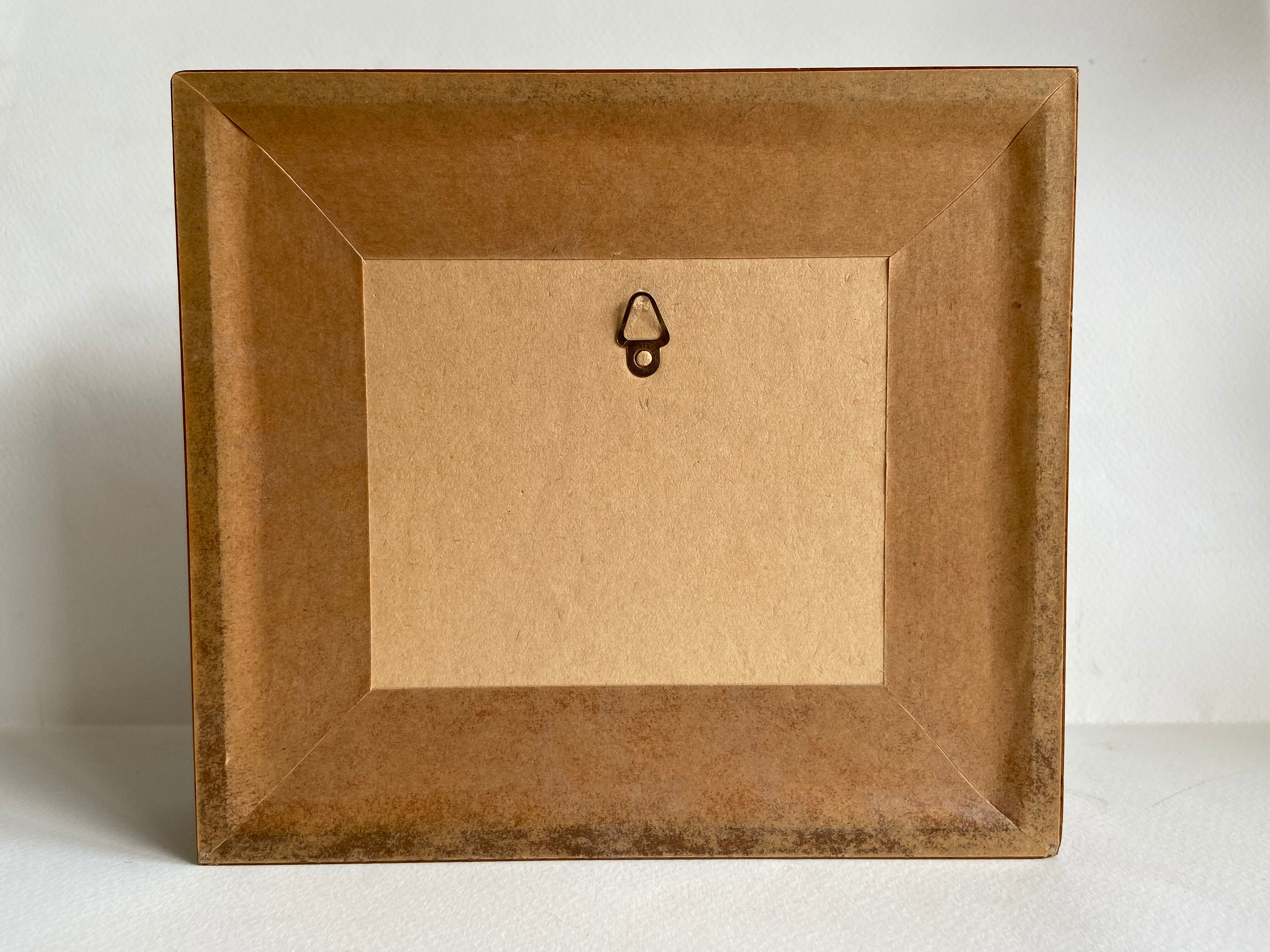 Framed naturalized insects