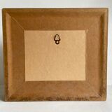 Framed naturalized insects