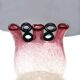 Anzolo Fuga for AVeM rare vase with rings, 1960s