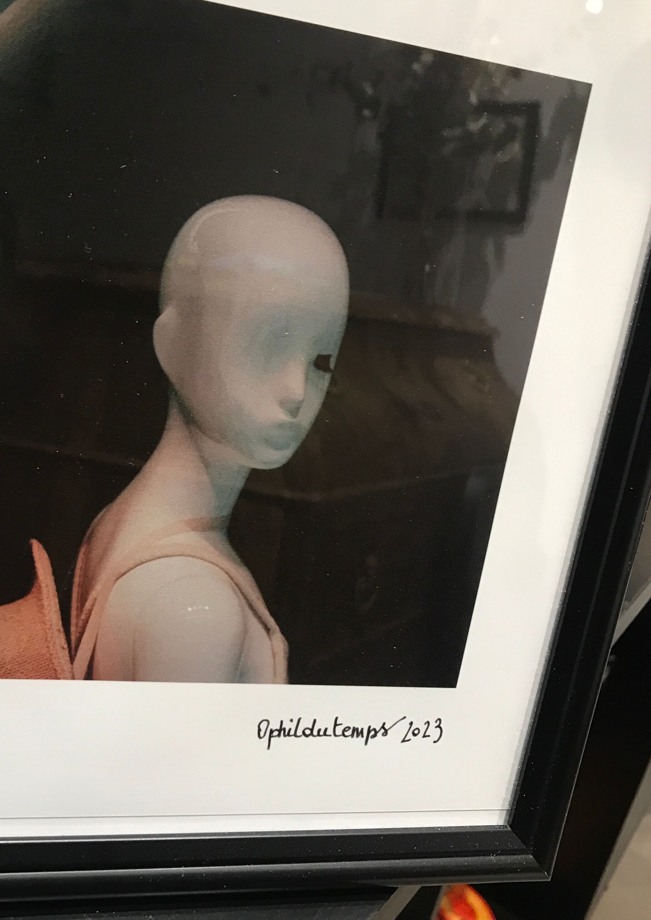 Photo mannequins showcase woman color large model