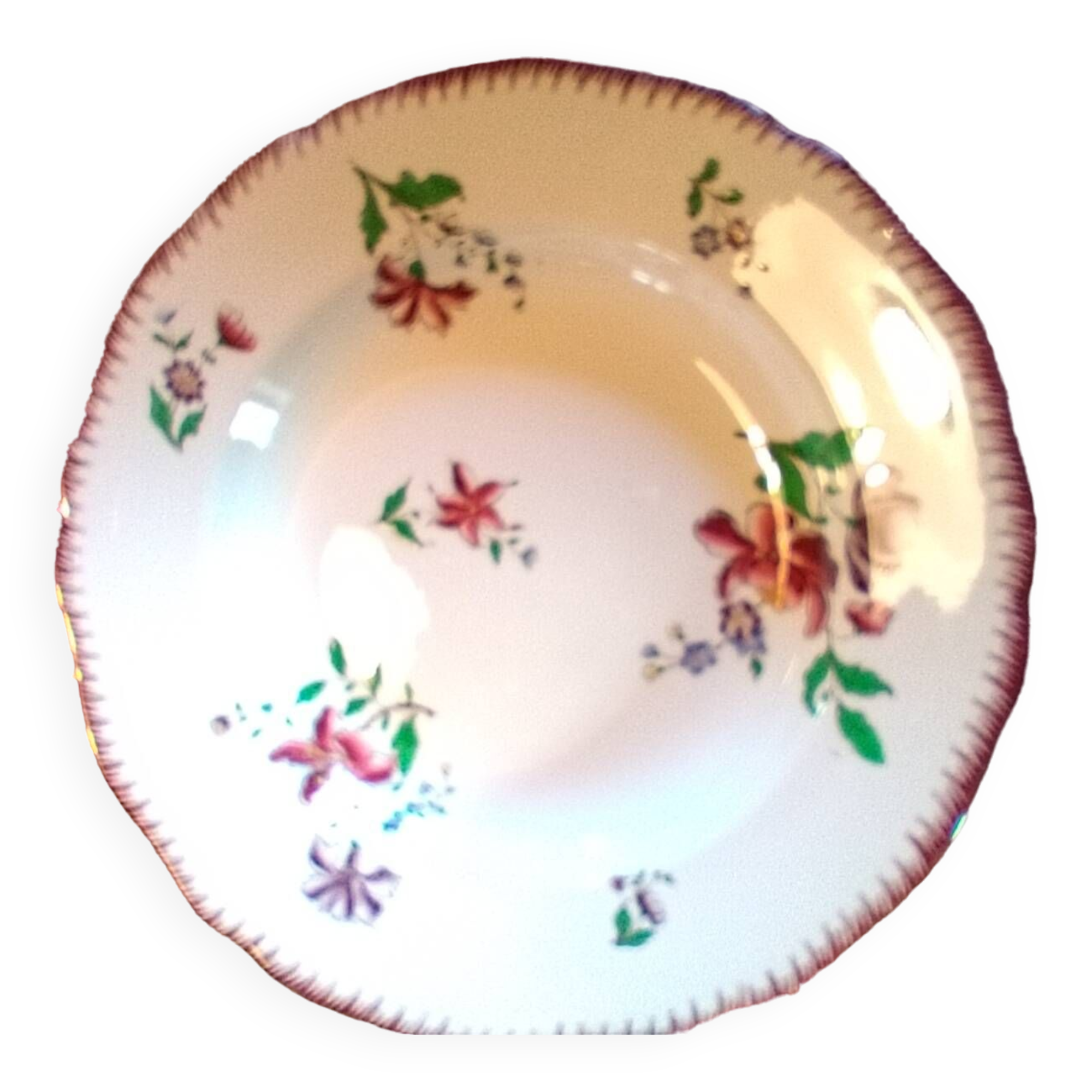 Sarreguemines plates, Strasbourg model