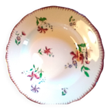 Sarreguemines plates, Strasbourg model