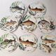 Lot de 8 assiettes poisson Gien