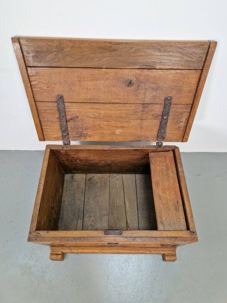 Antique Brutalist Chest in Oak, 1800
