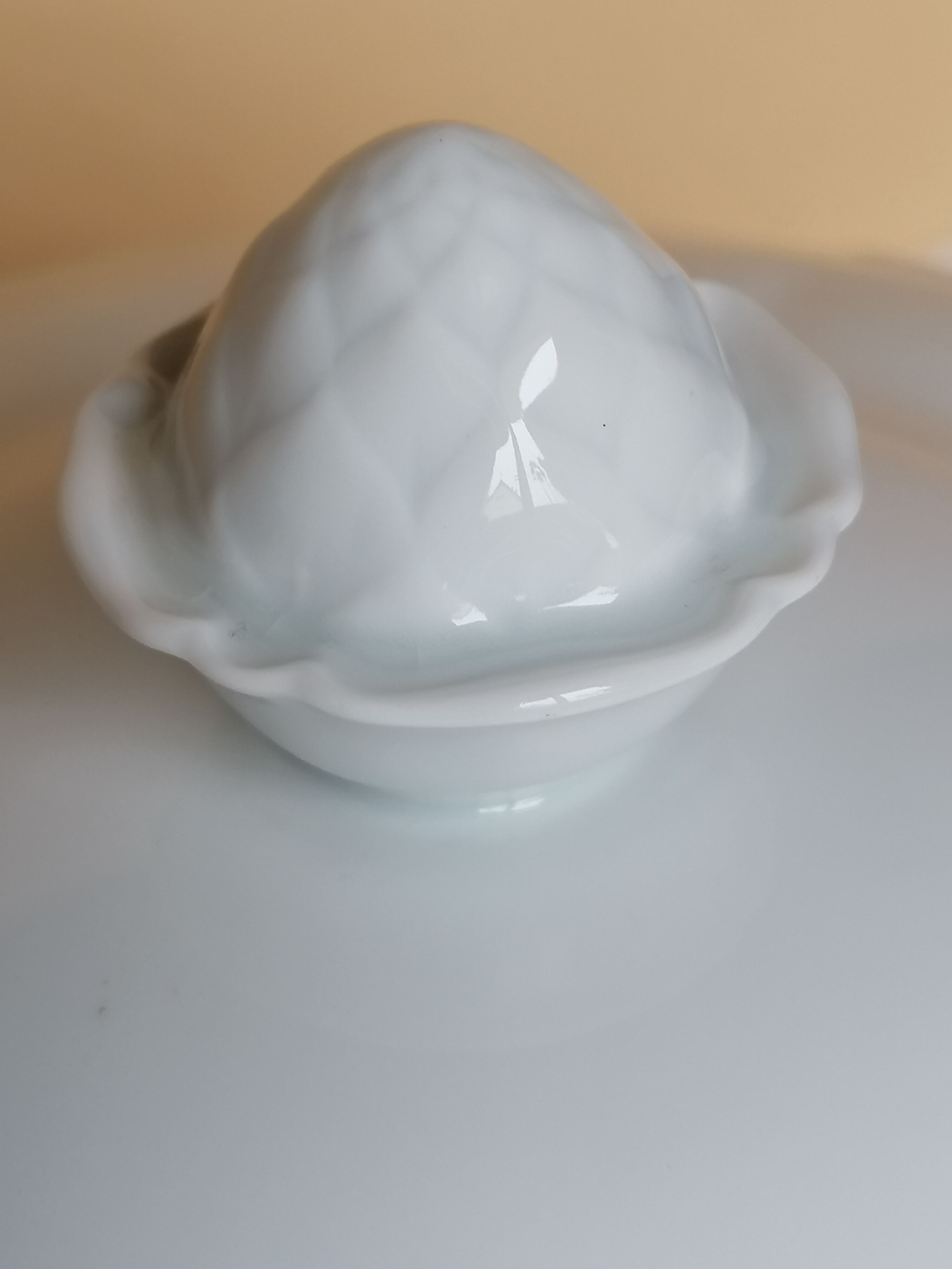 Soup limoges porcelain old great fire