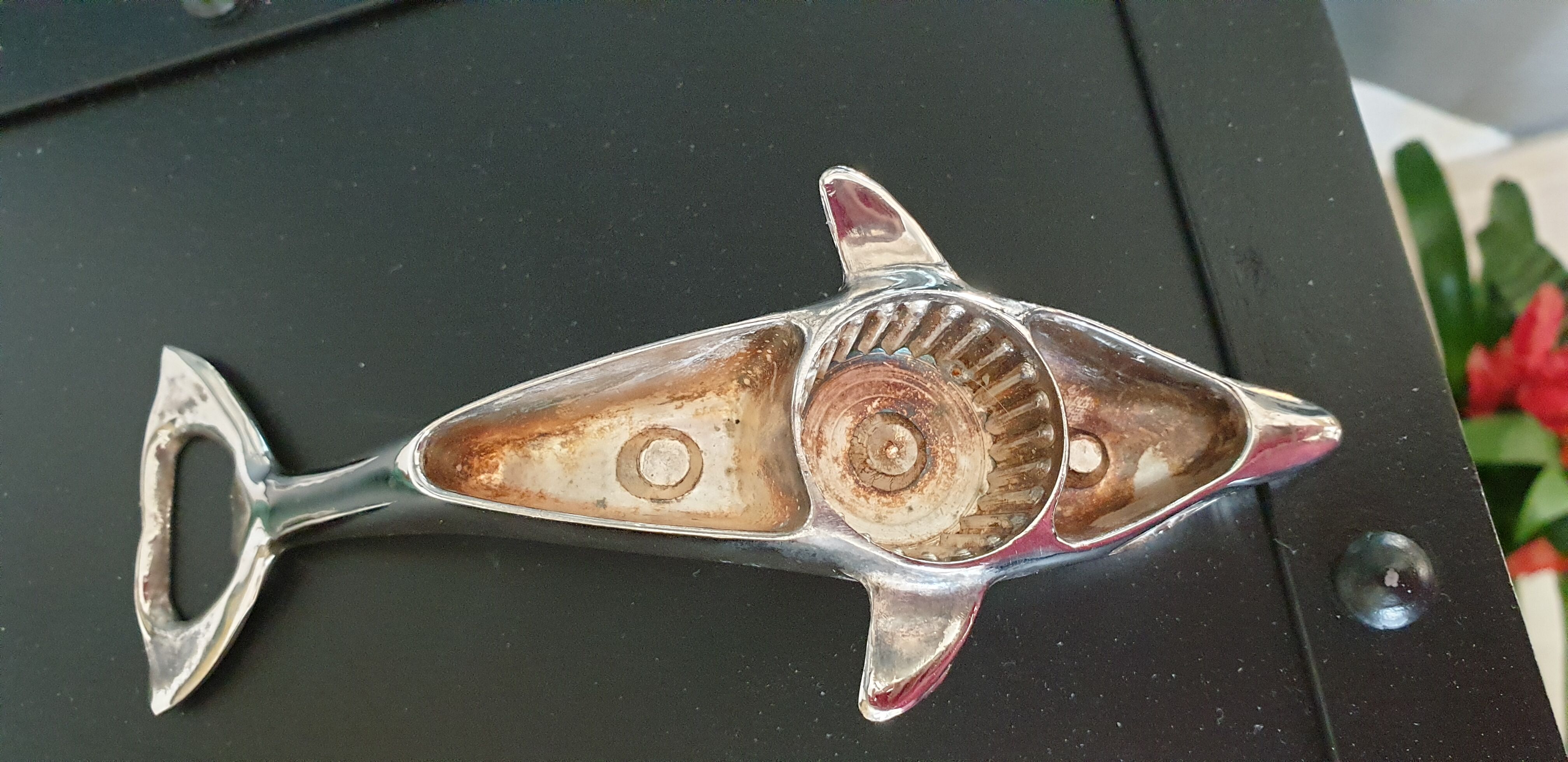 Bottle opener Dolphin silver metal