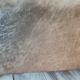 Antique sofa Napoleon III antique bench