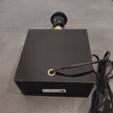 Chinese pagoda lamp dolphin