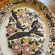 Large bird dish