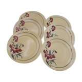 Series 6 plates Lunéville