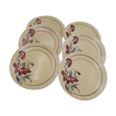 Série 6 assiettes lunéville