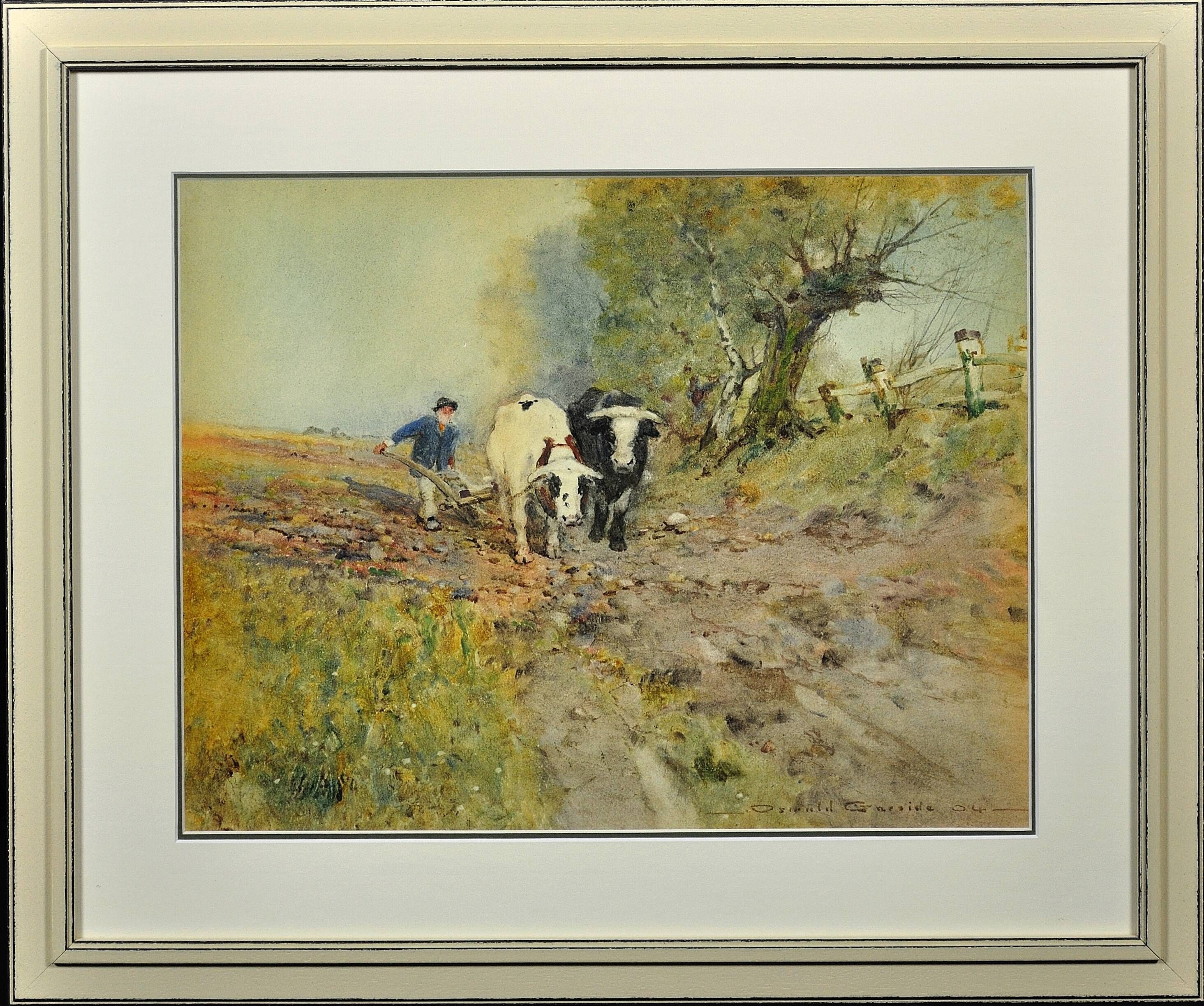Oswald Garside 1879 - 1942. Bullocks Ploughing, 1904. Watercolour. Framed.