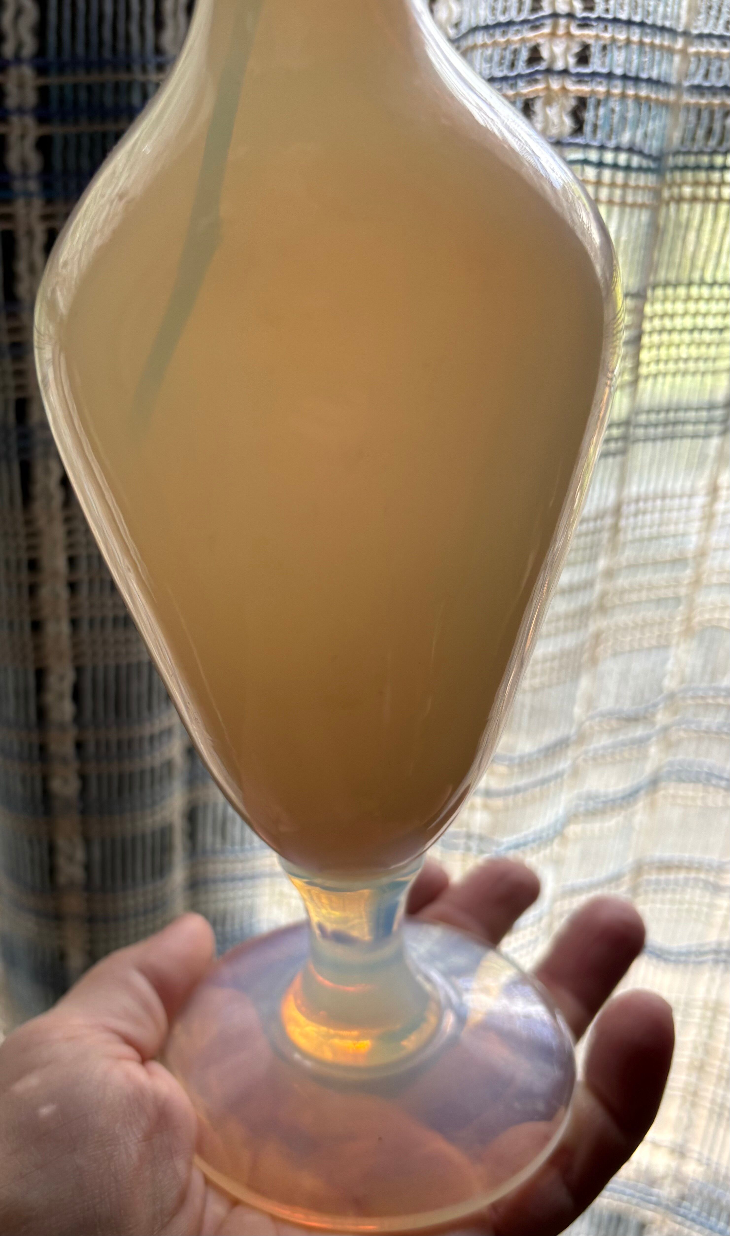 Sèvres vase France