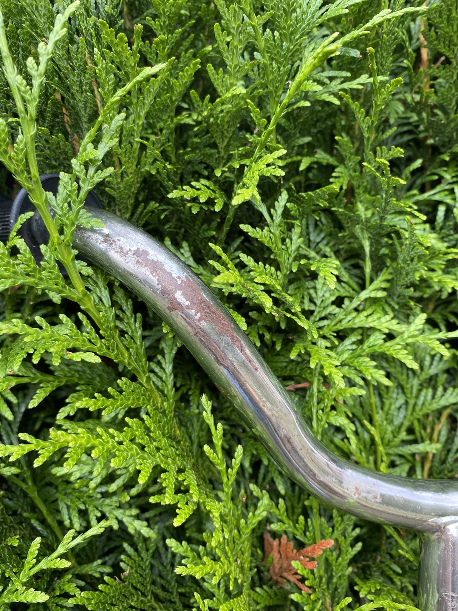 Judez scooter and tricycle set