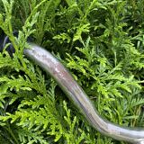 Judez scooter and tricycle set