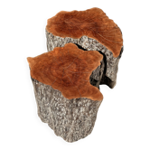 Pair of lychee stools forming a coffee table