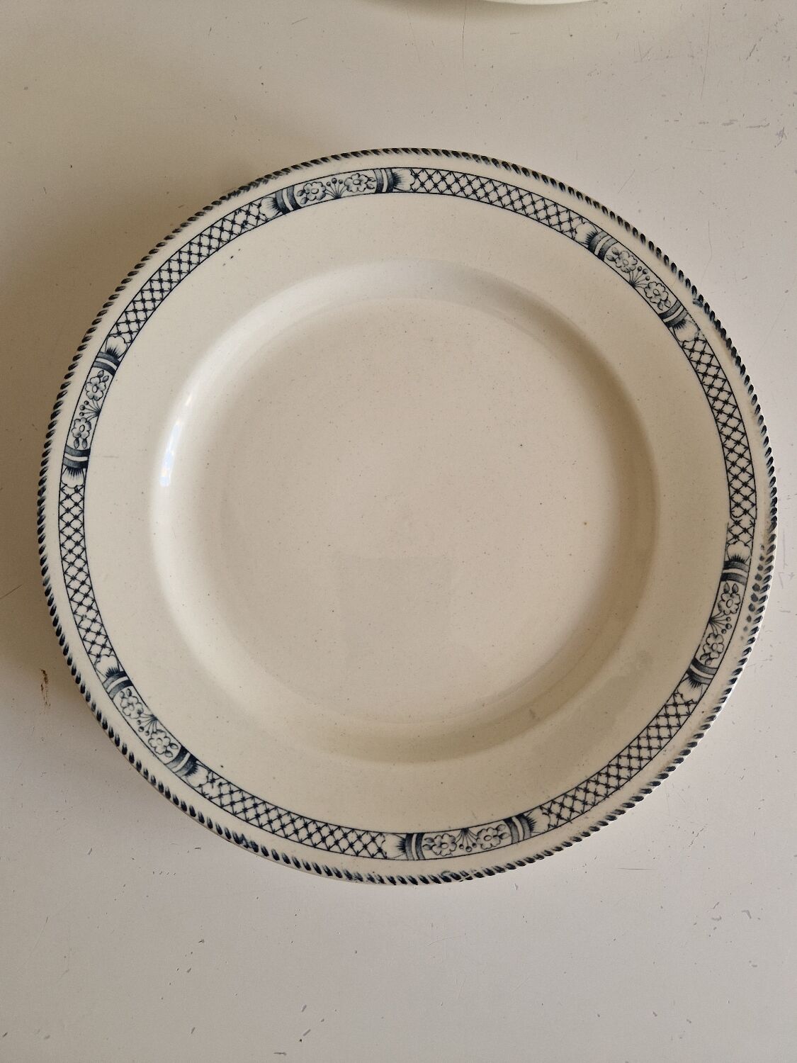 Lot de 12 assiettes plates terre de fer salins modèle Vauban