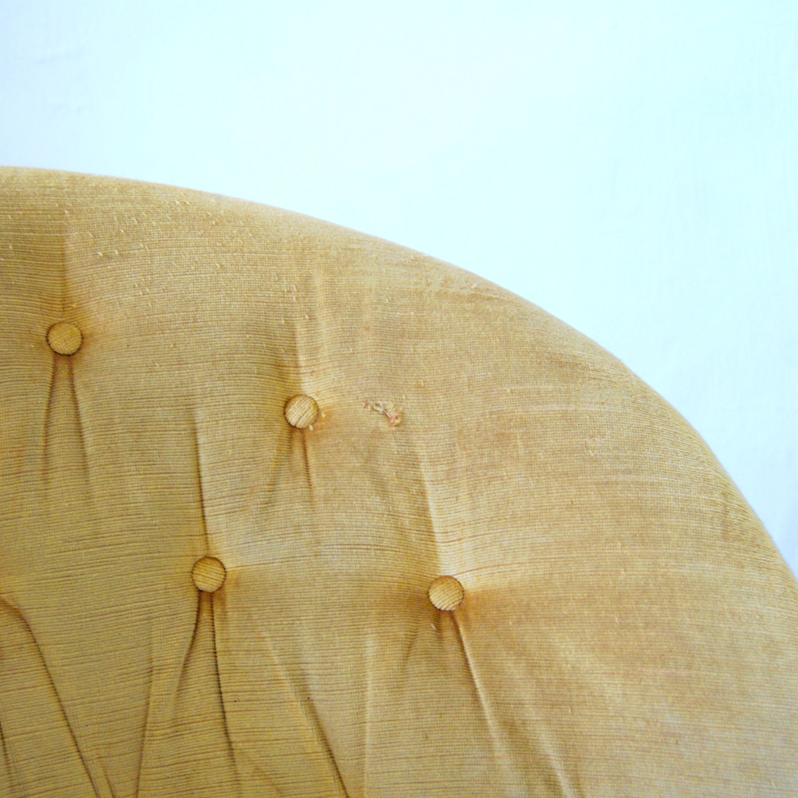 Armchair yellow toad